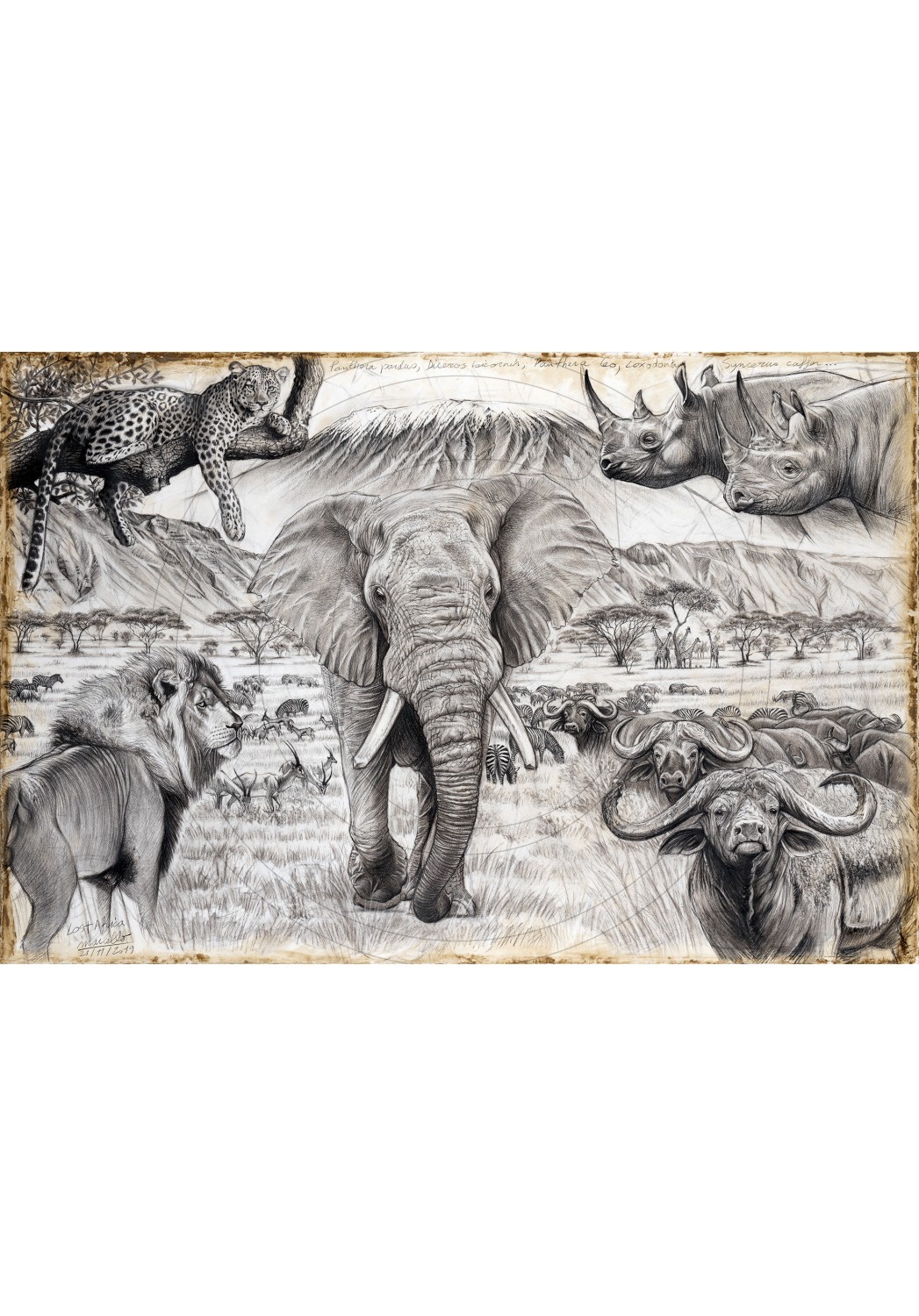 Marcello-art : Sur papier 400 - Lost Africa