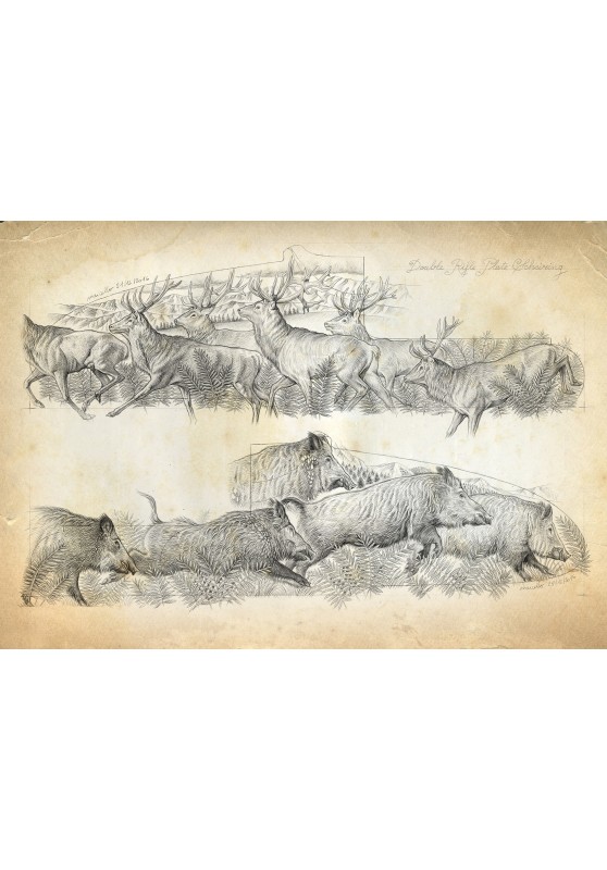 Marcello-art: Wish Card 359 - Engraving of wild boar herds