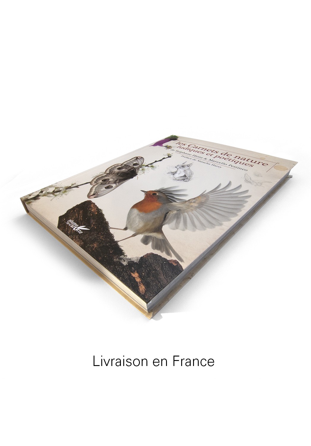 Marcello-art: Books Playful and Poetic Nature Notebooks delivery france