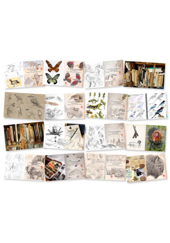 Marcello-art: Books Marcello-art: The Manual of the Perfect Naturalist Draftsman Despite Himself! delivery france