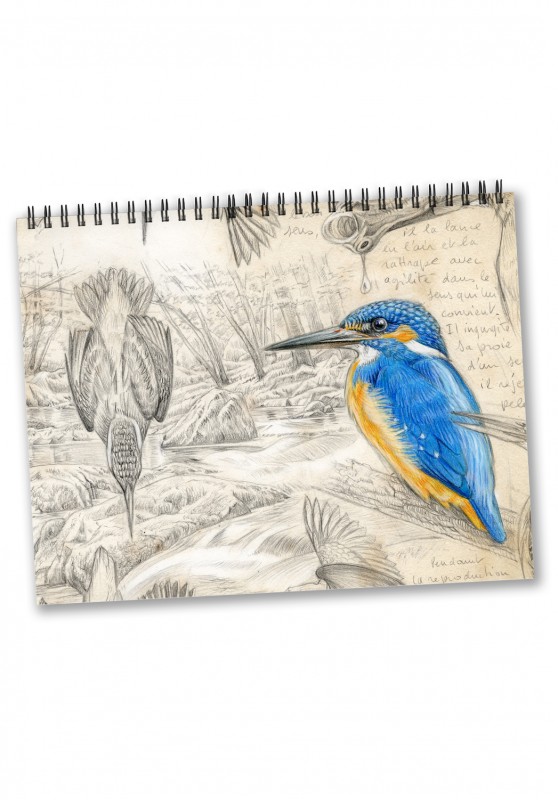 Marcello-art: Editions Calendar 2024 Birds