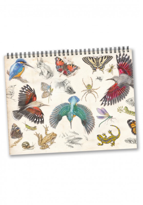 Marcello-art: Editions Calendar 2026 Naturalized