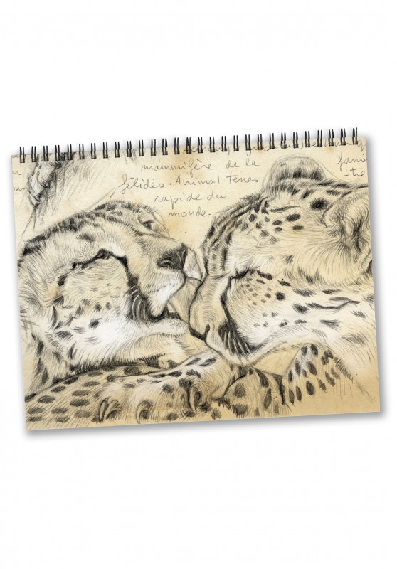 Marcello-art: Editions Calendar 2024 cheetahs