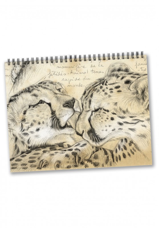 Marcello-art: Editions Calendar 2025 cheetahs