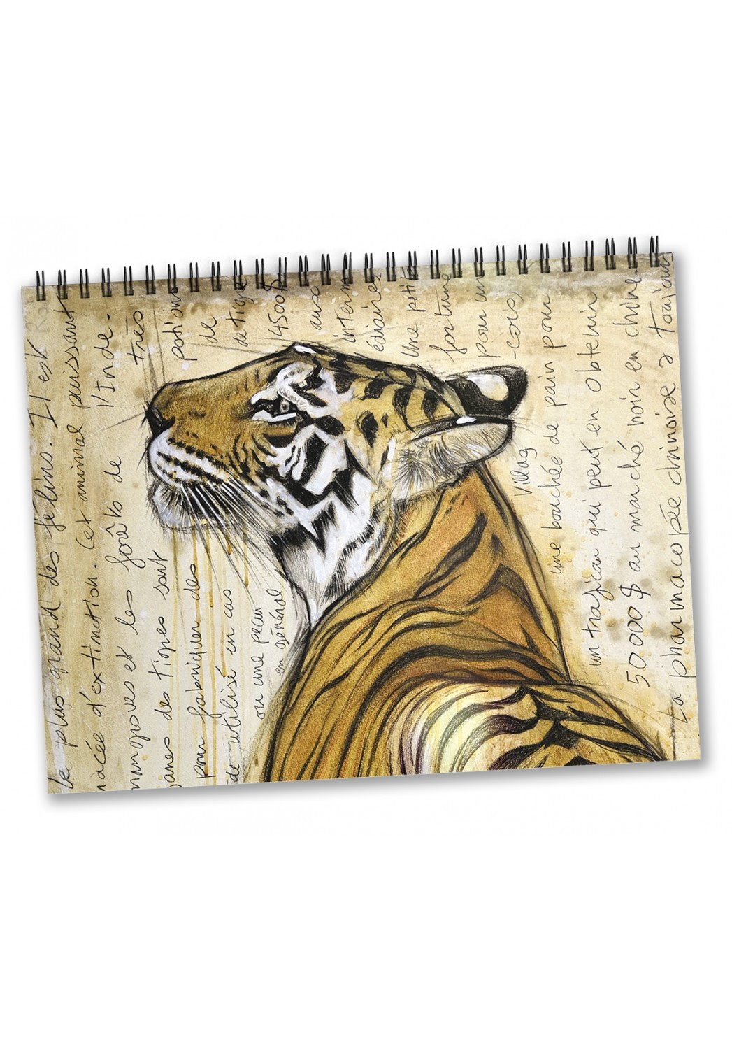 Marcello-art: Editions Calendar 2026 felines