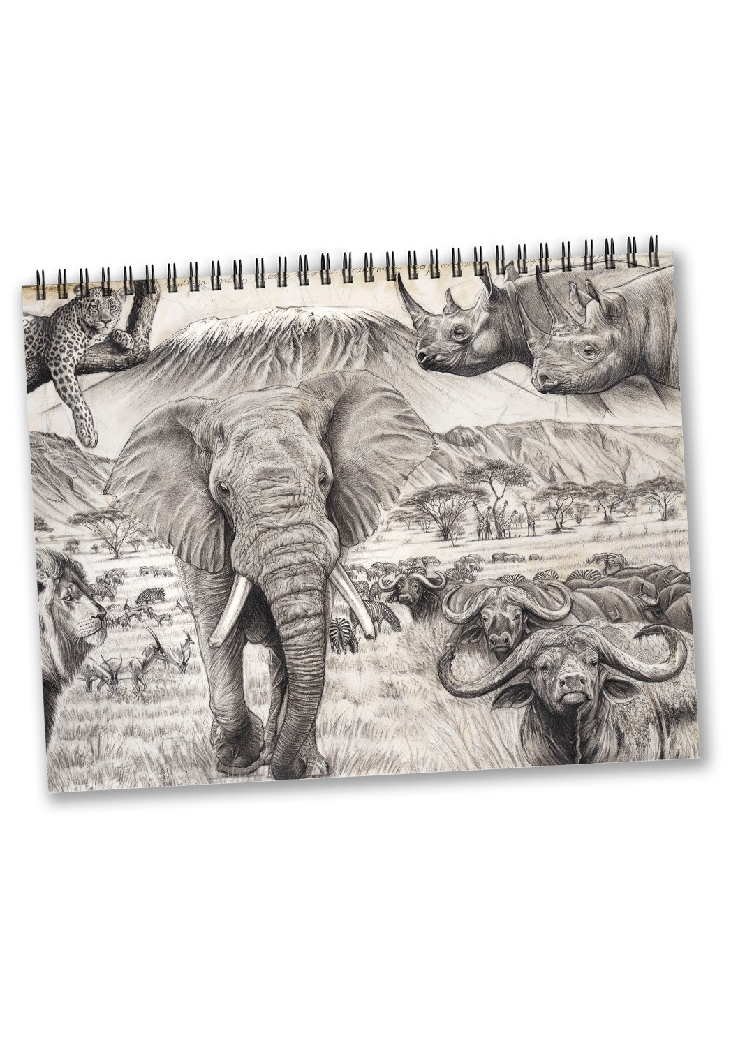 Marcello-art: Editions Calendar 2024 Elephants and rhinos