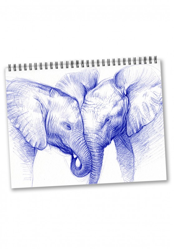 Marcello-art: Editions Calendar 2025 Baby elephants Bic