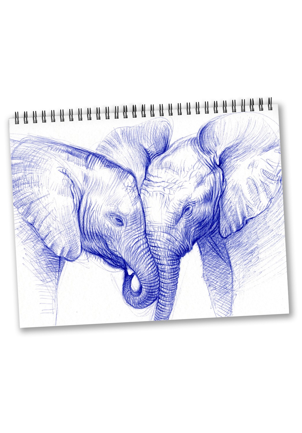 Marcello-art: Editions Calendar 2026 Baby elephants Bic