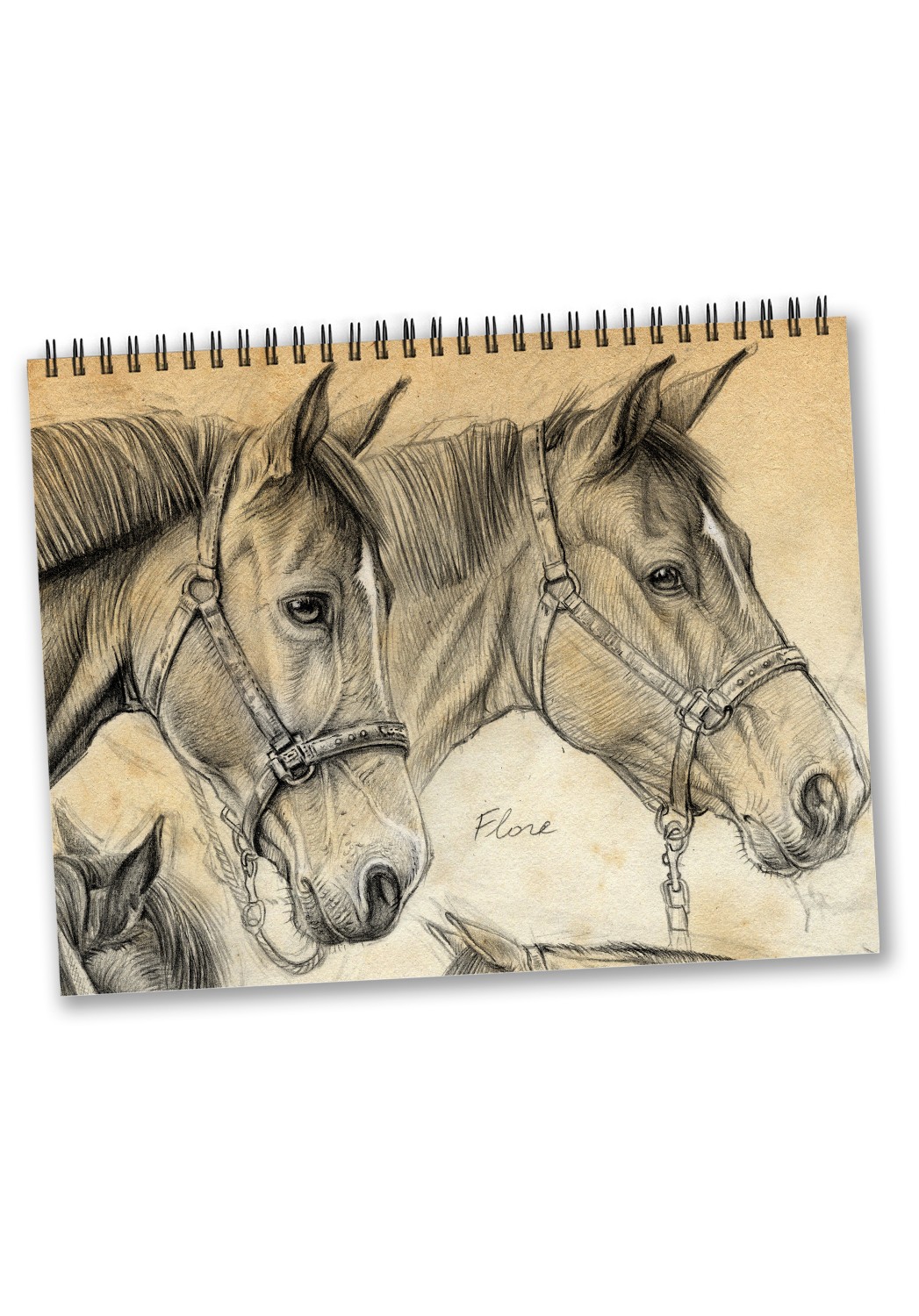 Marcello-art: Editions Calendar 2024 Horses