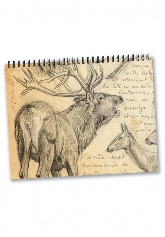 Marcello-art: Editions Calendar 2026 Cervidae and wild boars