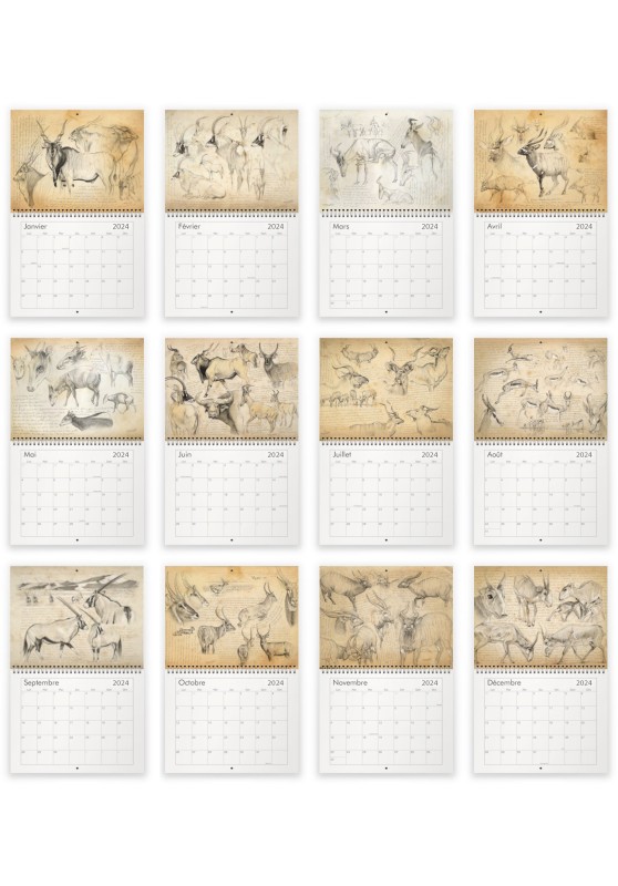 Marcello-art: Editions Calendar 2024 antelopes