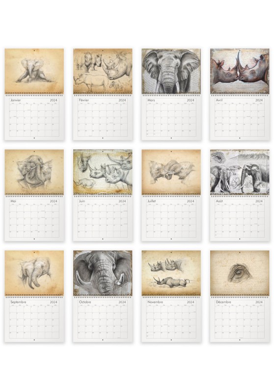 Marcello-art : Éditions Calendrier 2024 Éléphants et rhinos