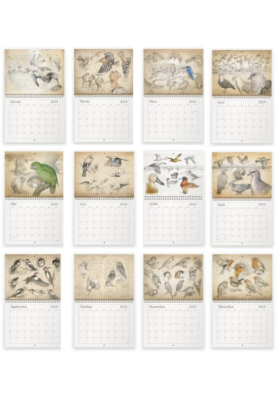 Marcello-art: Editions Calendar 2024 Birds