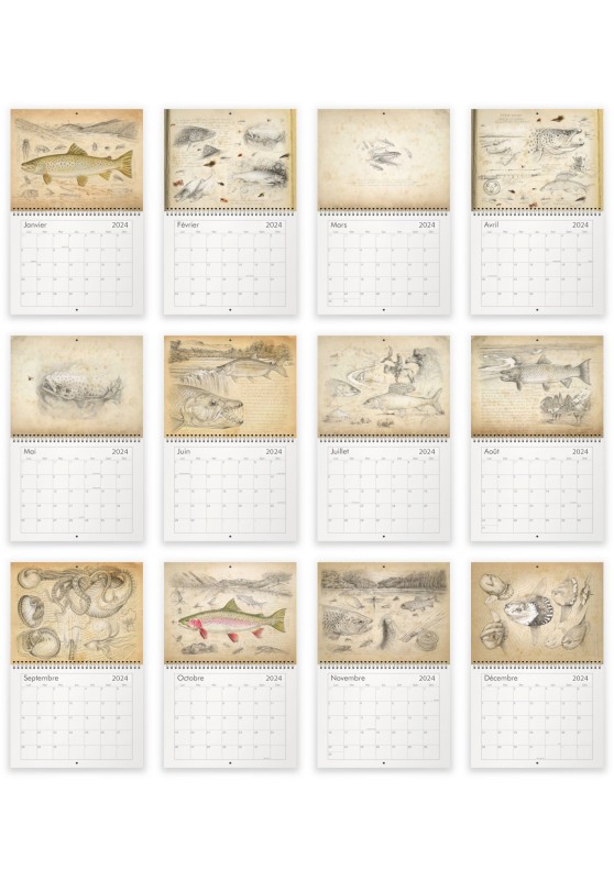 Marcello-art: Editions Calendar 2024 Fishs