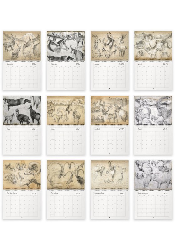 Marcello-art: Editions Calendar 2024 Mountain Wildlife