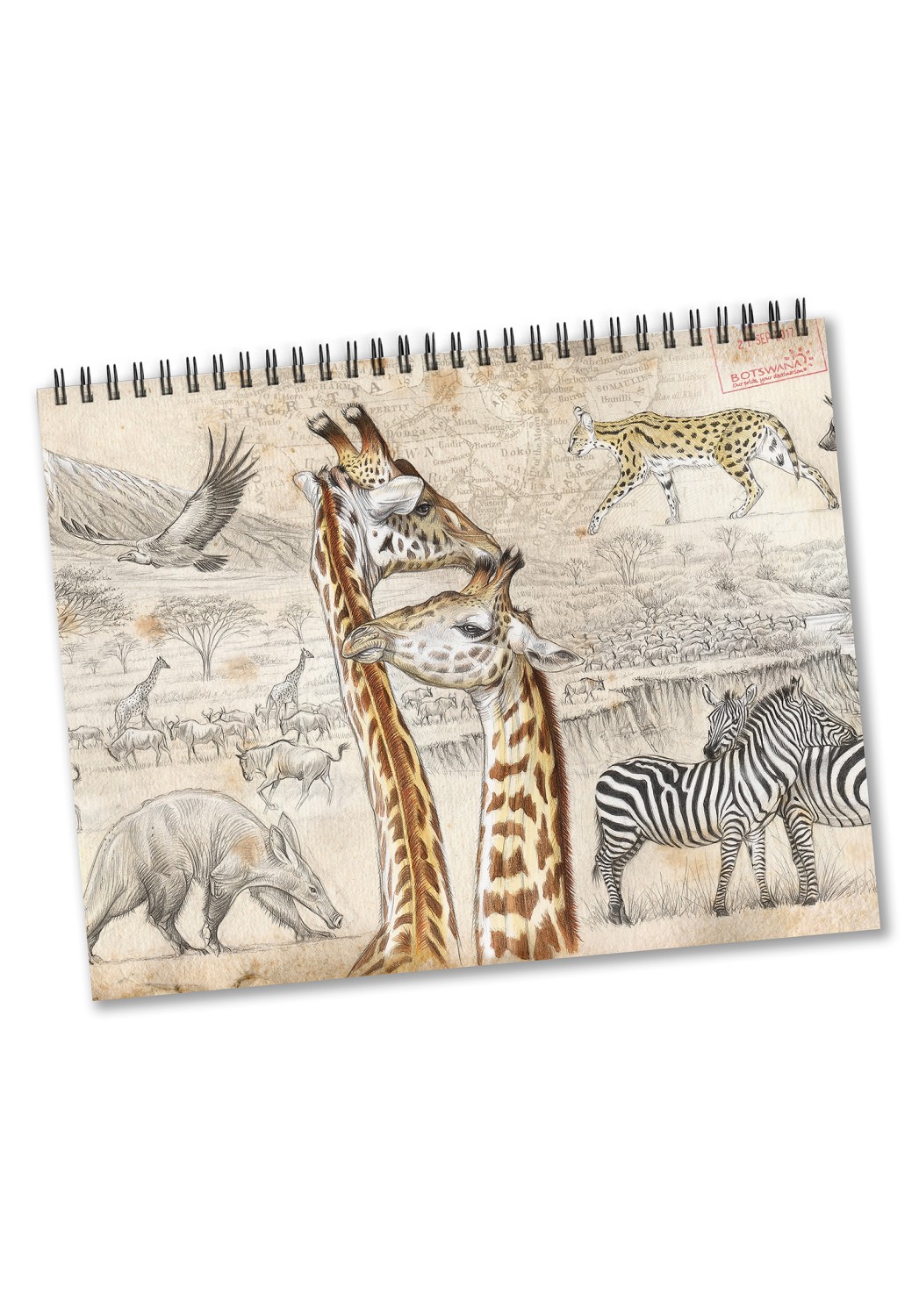 Marcello-art: Editions Calendar 2026 La Cétoine A