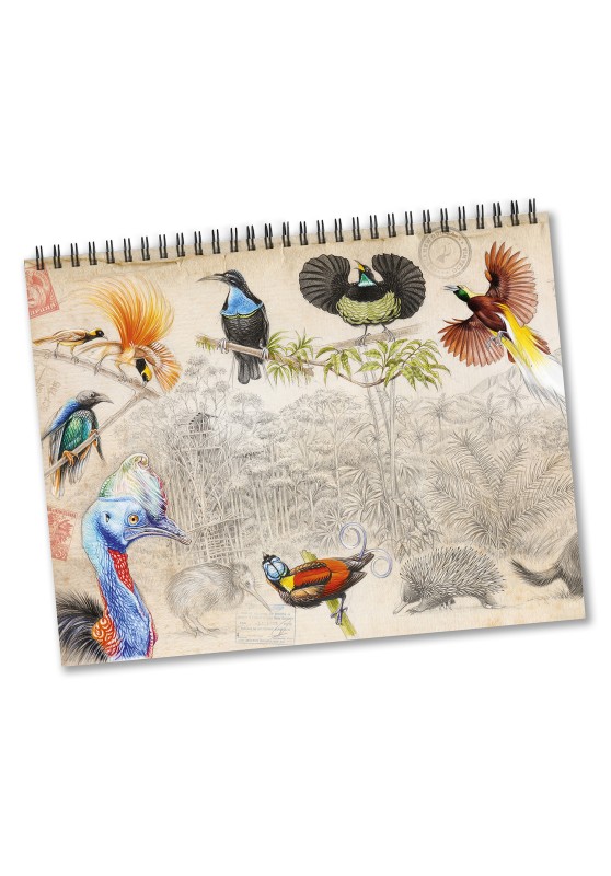 Marcello-art: Editions Calendar 2026 La Cétoine B