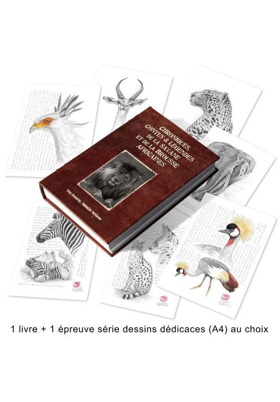 Marcello-art : Livres un livre Chroniques contes et légendes + une épreuve format A4 de la série dessins dédicace