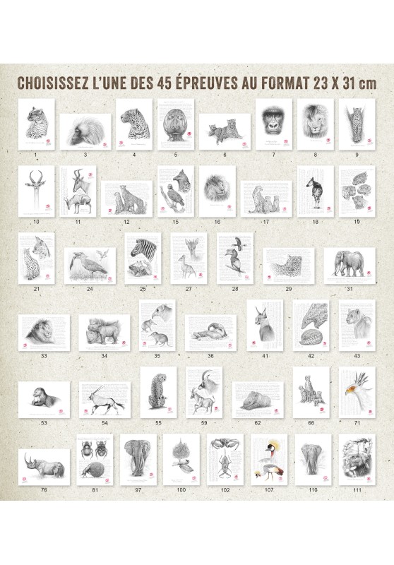Marcello-art : Livres un livre Chroniques contes et légendes + une épreuve format A4 de la série dessins dédicace