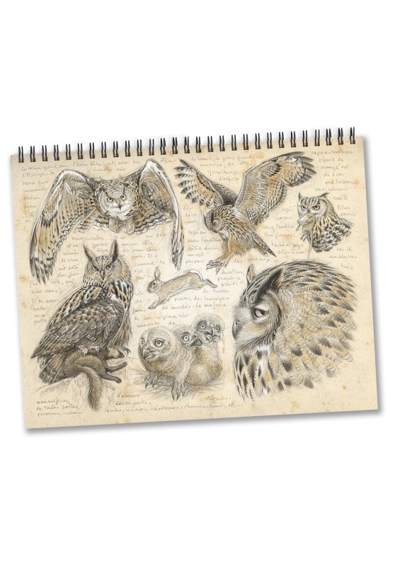 Marcello-art : Éditions Calendrier 2026 Oiseaux