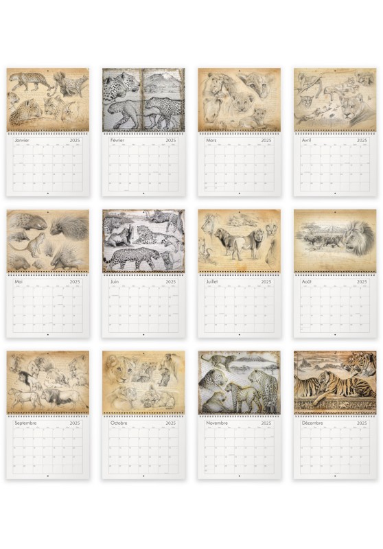 Marcello-art: Editions Calendar 2025 felines