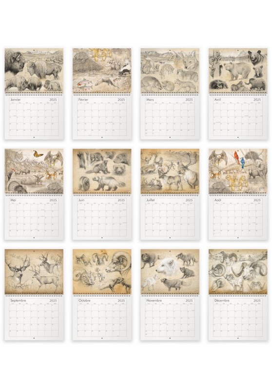 Marcello-art: Editions Calendar 2025 North america wildlife