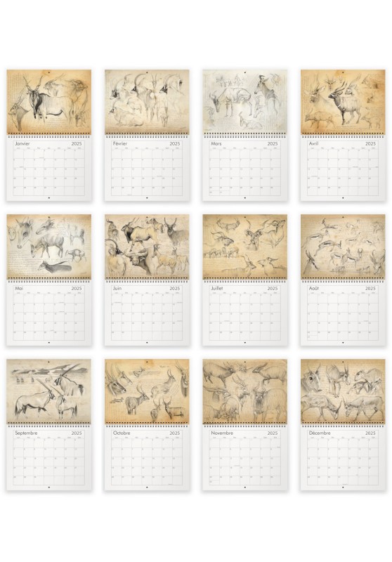 Marcello-art: Editions Calendar 2025 antelopes