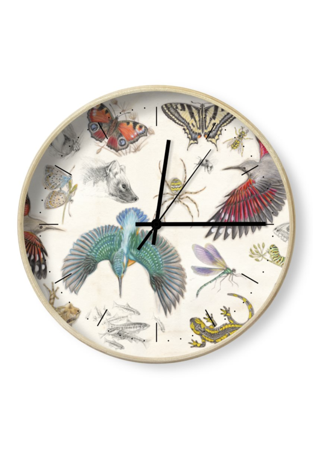 Marcello-art: Decoration accessoiries Clock 422 Naturalist's Handbook