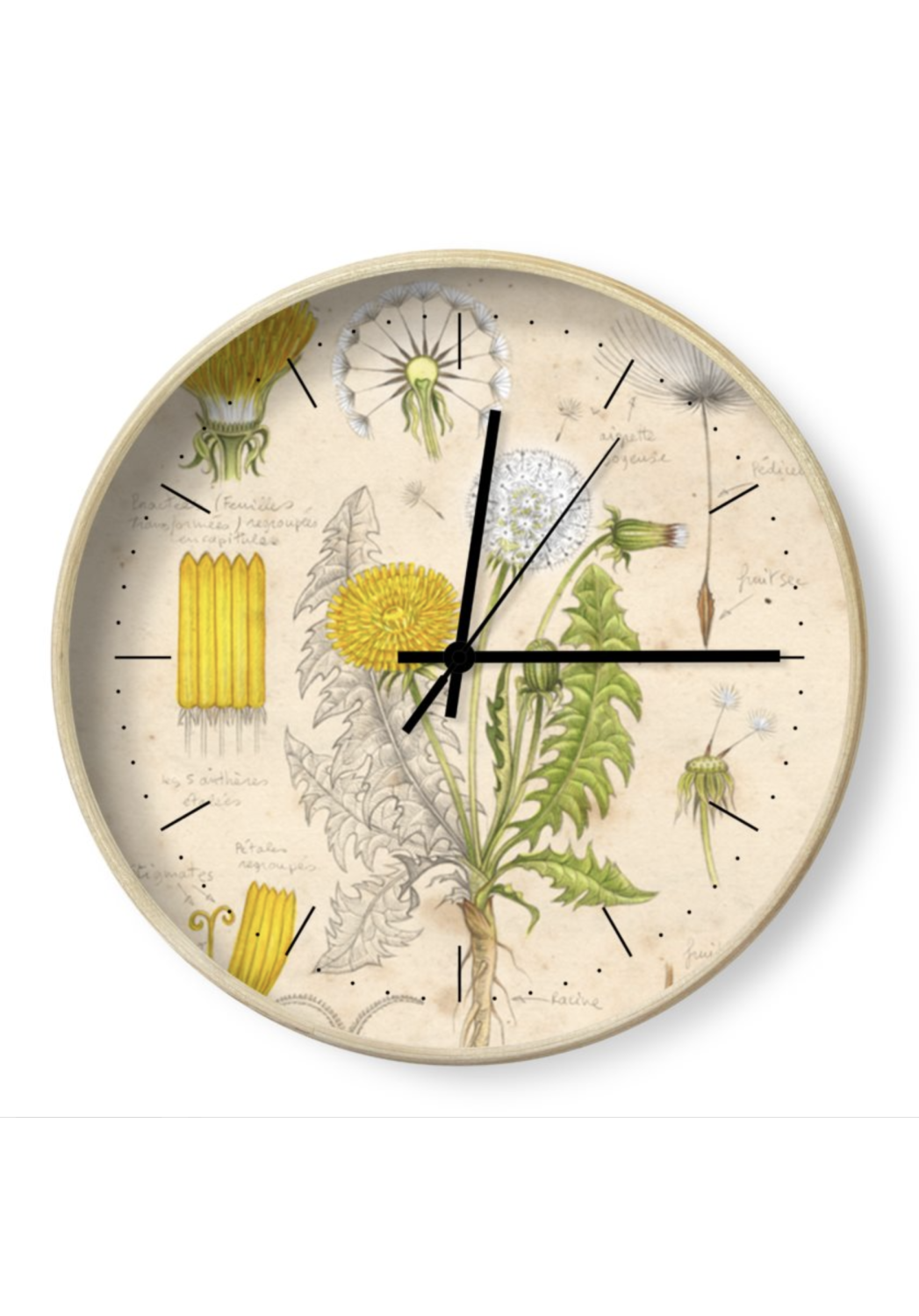 Marcello-art: Decoration accessoiries Clock 441 Dandelions