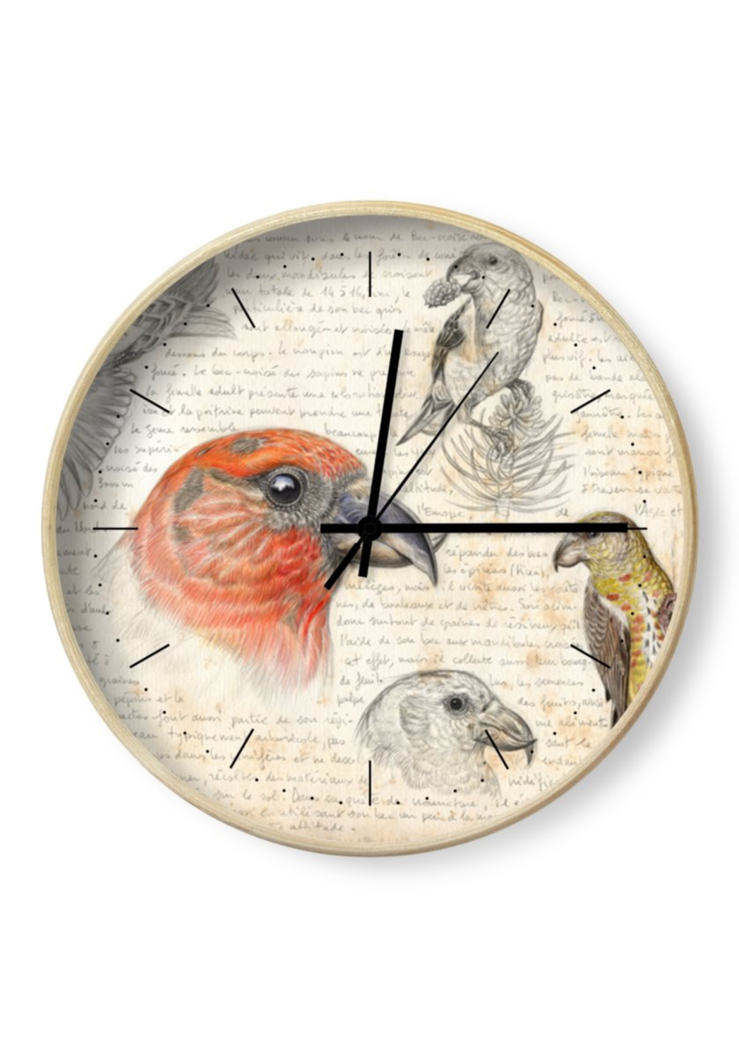 Marcello-art: Decoration accessoiries Clock 460 Red Crossbill