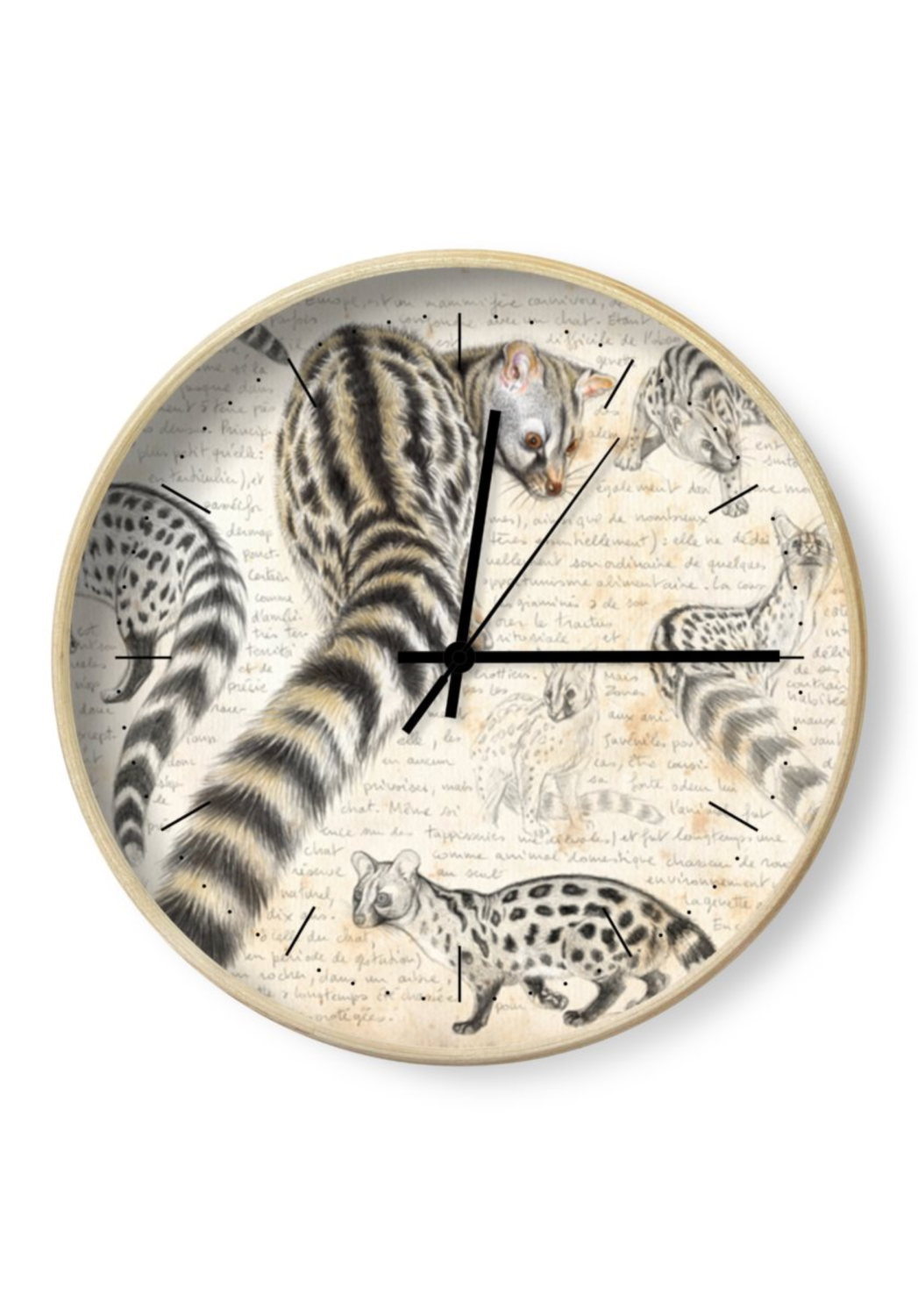 Marcello-art: Decoration accessoiries Clock 462 Common Genet (Genetta genetta)