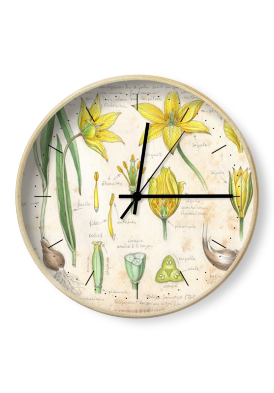 Marcello-art : Accessoires de décoration Horloge 474 Tulipe sauvage (Tulipa sylvestris)