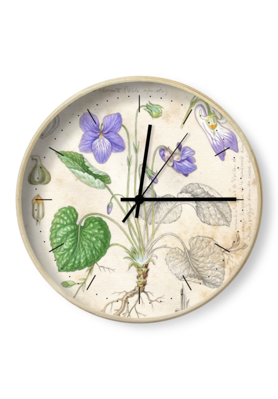 Marcello-art : Accessoires de décoration Horloge 483 Violette odorante (Viola odorata)