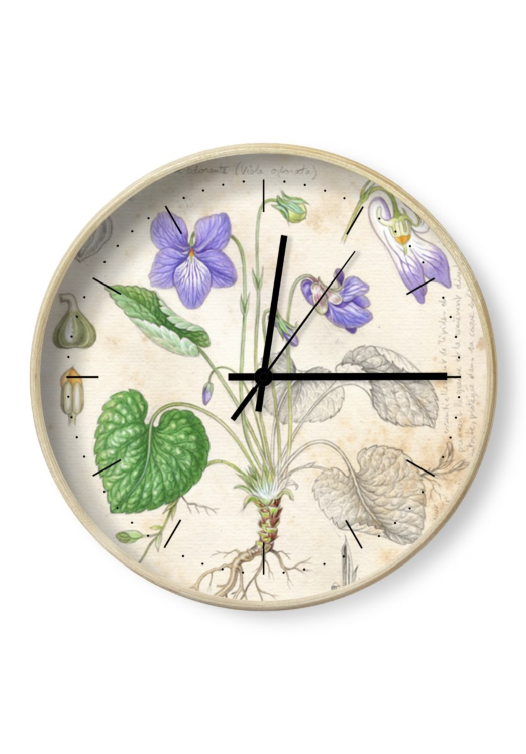 Marcello-art: Decoration accessoiries Clock 483 Sweet Violet (Viola odorata)