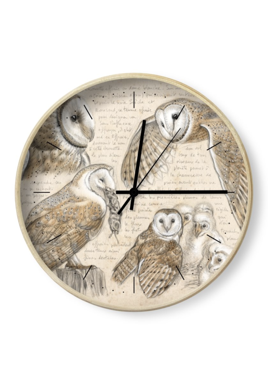 Marcello-art: Decoration accessoiries Clock 595 Barn Owl (Tyto alba)