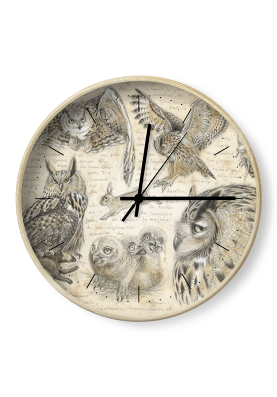 Marcello-art: Decoration accessoiries copy of Clock 595 Barn Owl (Tyto alba)