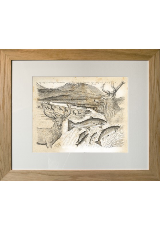 Marcello-art: On paper 614 - Highland deer and salmon