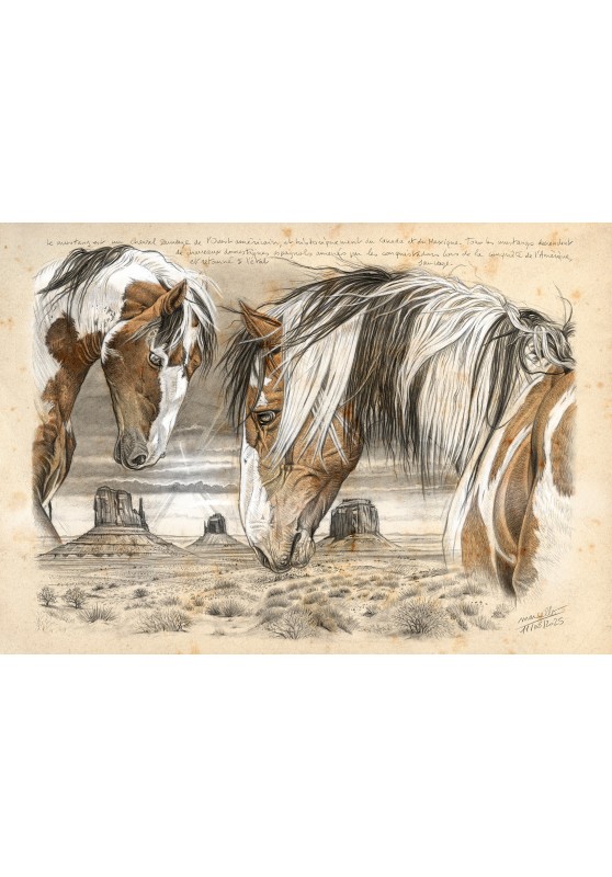 Marcello-art: On paper 615 - Mustang