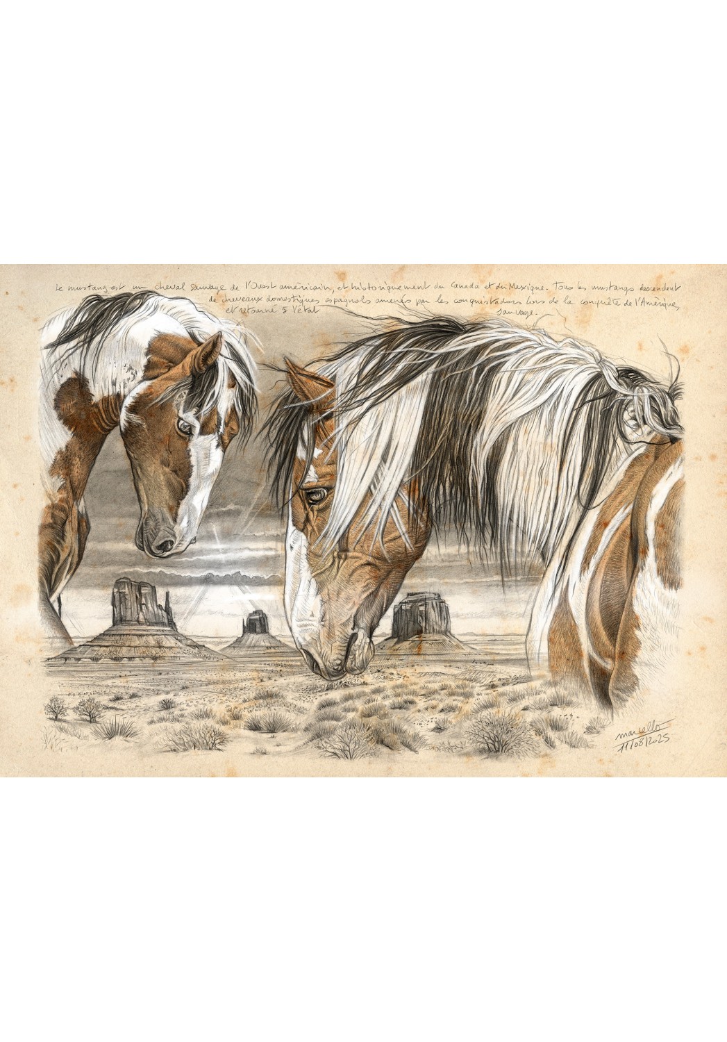 Marcello-art : Sur papier 615 - Mustang