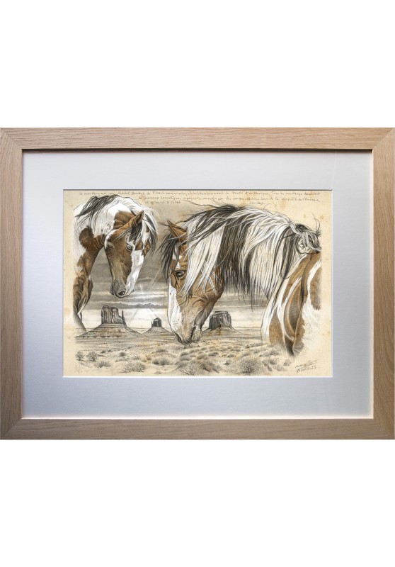 Marcello-art : Sur papier 615 - Mustang