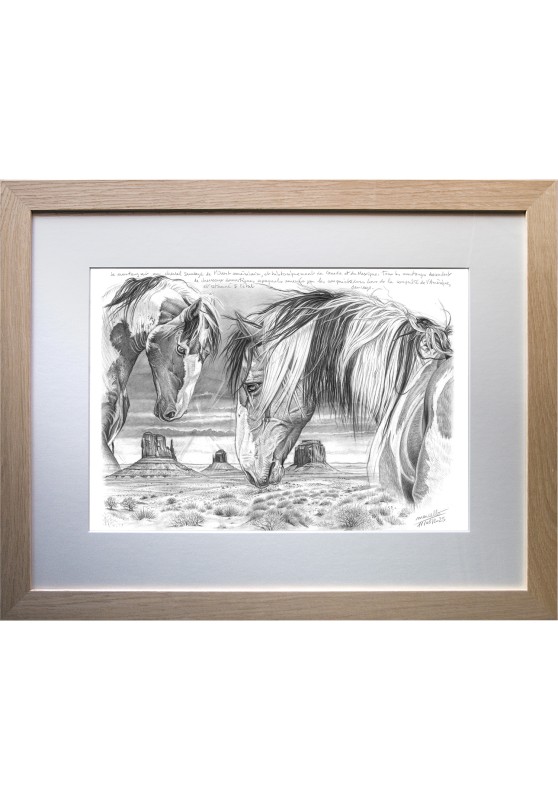 Marcello-art : Faune zones tempérées 615 - Mustang