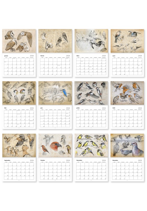 Marcello-art: Editions Calendar 2026 Birds