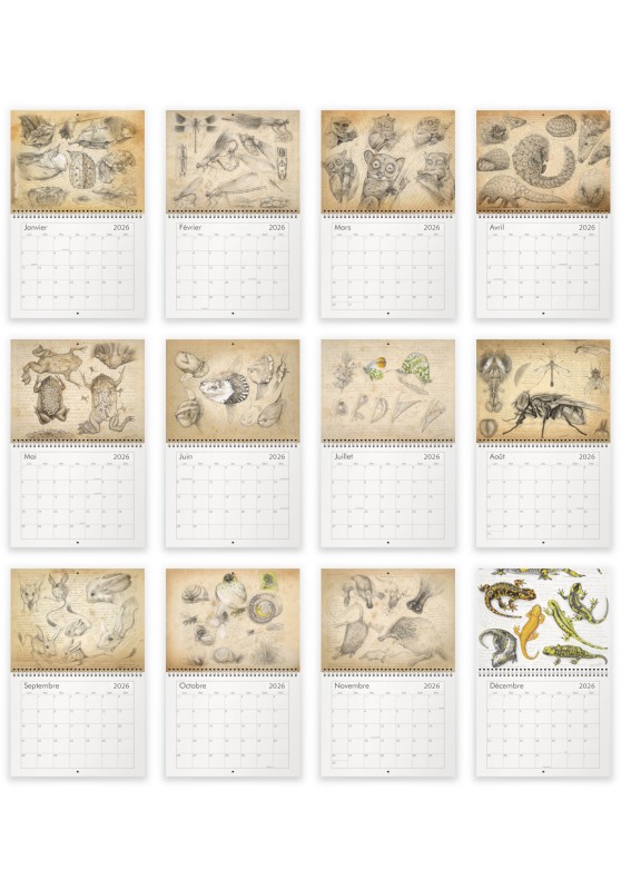 Marcello-art : Éditions Calendrier 2026 Naturaliste