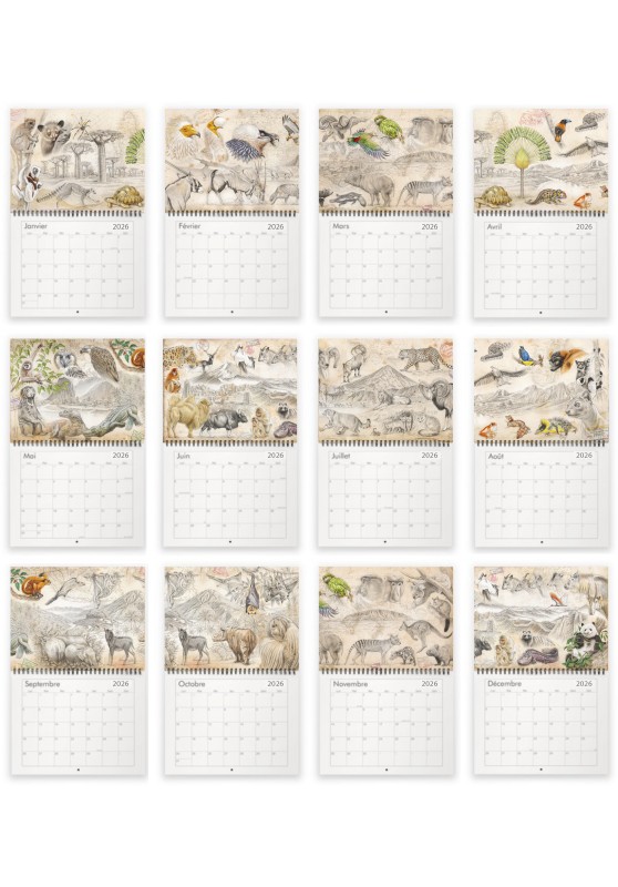 Marcello-art : Éditions Calendrier 2026 La Cétoine B