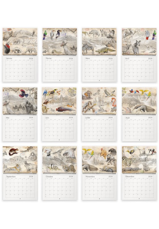 Marcello-art: Editions Calendar 2026 La Cétoine A