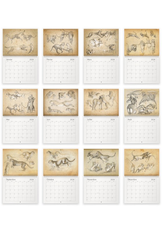 Marcello-art : Éditions Calendrier 2026 Guépards