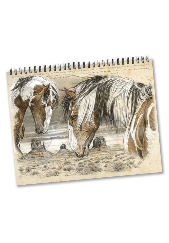 Marcello-art: Editions Calendar 2026 Horses