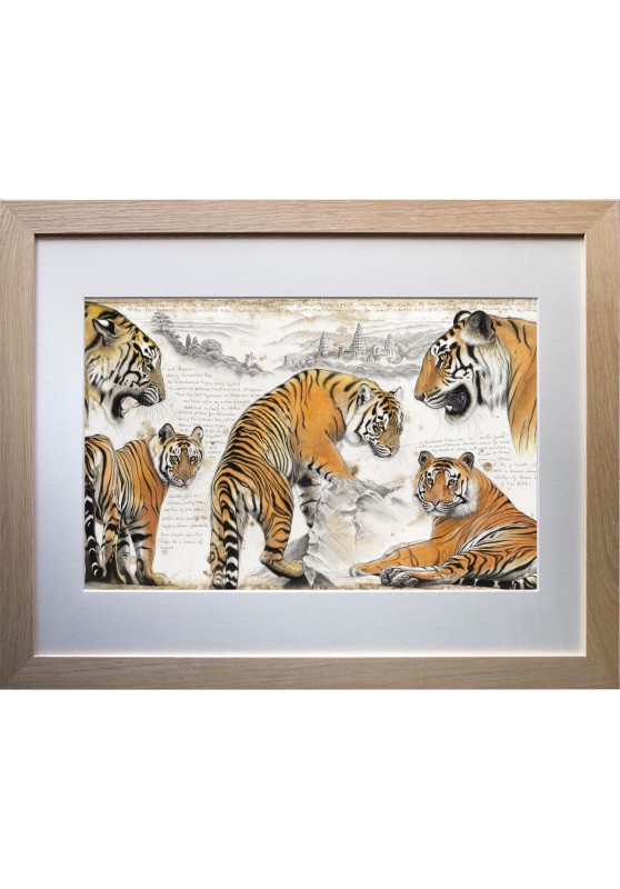 Marcello-art : Sur papier 617 - Tigre d'Indochine (Panthera tigris corbetti)