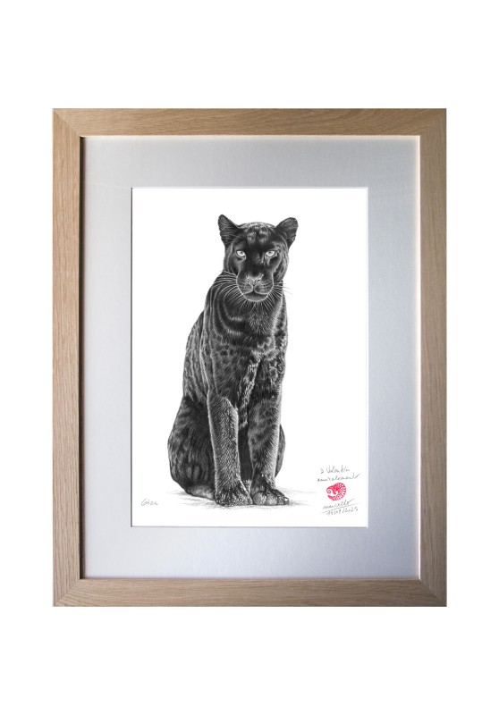Marcello-art: Tropical Fauna 619 - Giza Melanistic leopard (Panthera pardus)