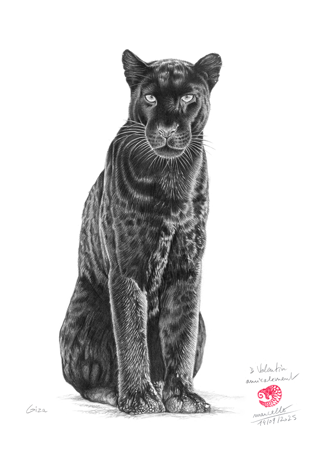 Marcello-art: On paper 619 - Giza Melanistic leopard (Panthera pardus)